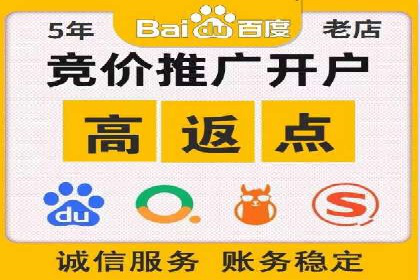SEM代理案例：从零到一，见证品牌崛起